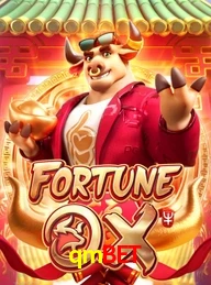 QMBET.COM